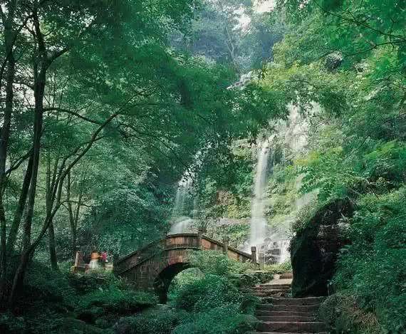 背景提升 | 伦敦大学学院：生物医学前沿专题